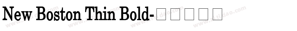New Boston Thin Bold字体转换